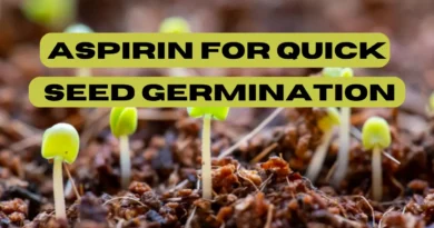 Aspirin for Quick Seed Germination