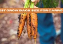 Best Grow Bags Size For Carrots