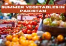 SUMMER VEGETABLES IN PAKISTAN