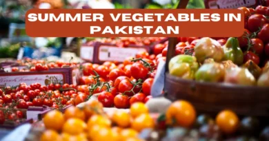 SUMMER VEGETABLES IN PAKISTAN