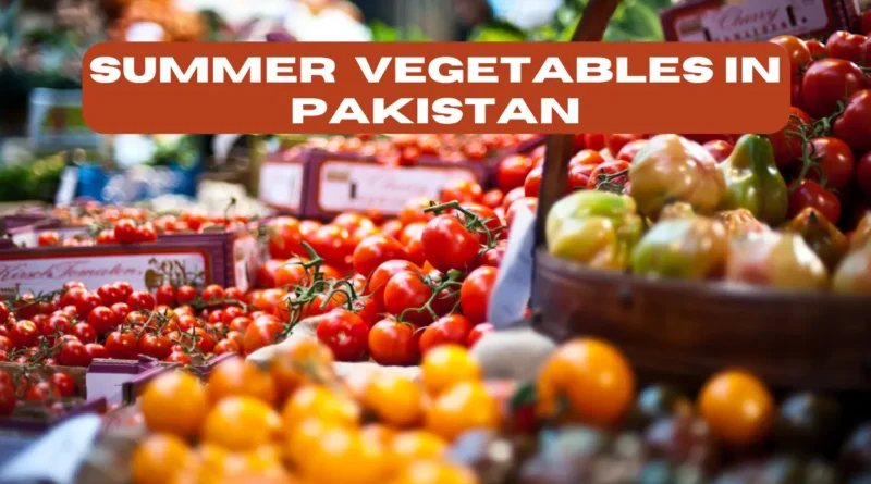 SUMMER VEGETABLES IN PAKISTAN