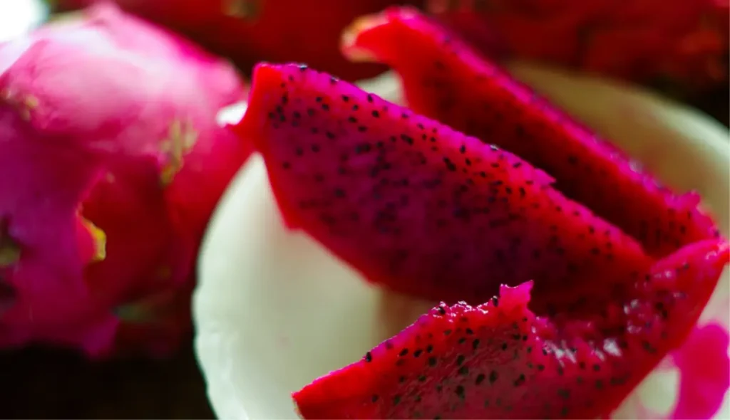 how to grow dragon fruit at home in Pakistan